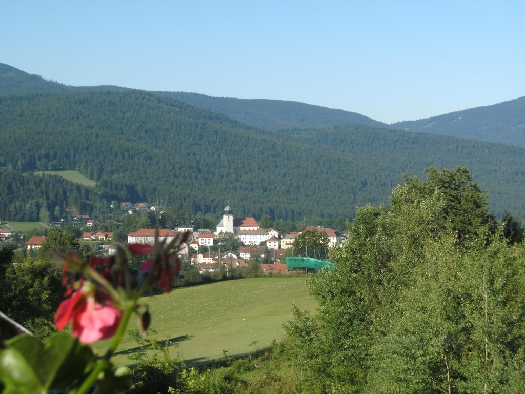 Apartment Appartementhaus Himmelreich Lam